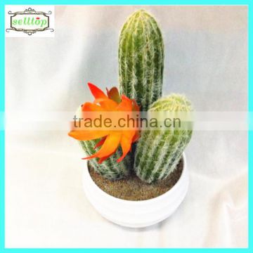 22cm high quality real touch cactus plant names