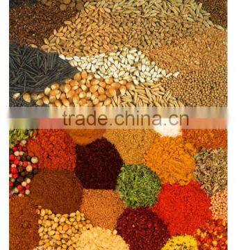 Duplex 2 Head Linear Weigher for Rice, Sugar, Seed, Coffee Beans photo-3