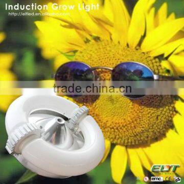 Indoor Garden Grow Light Item Type High Power Induction Plant t5 Grow Light