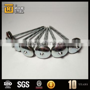 bright steel nail ,umbrella head roofing nails,large head iron nails