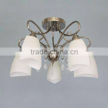 New flower ceiling lamp & chandelier 10120-5