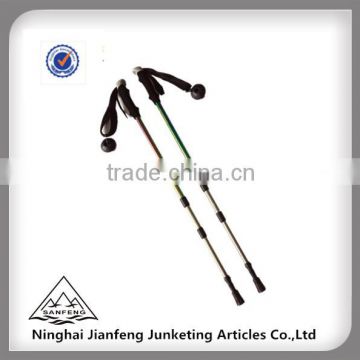 Great Value Trekking Pole 7B Carbon Alpenstock