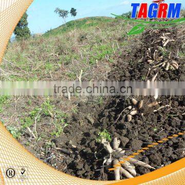 Mini harvester type cassava harvesting machine MSU1200 professional tapioca harvesting machine with good performance