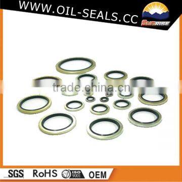 Special Hot Sog tc Oil Seals /babsl Oil Seal photo-3