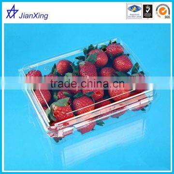 Vegetable and fruit plastic packaging blister trays and container