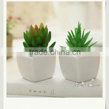 Natural look artificial succulents plant mini bonsai for table decor