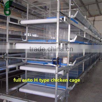 Durable economic steel wire mesh chicken cage