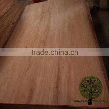 c grade burma face veneer wood veneer door skin burckella veneer