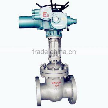 Motorized Gate Valve photo-5