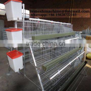 CN manufacture wholesale Automatic wire cage for chicken farming