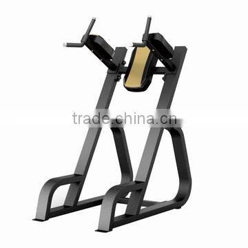 Market accepted customer proved best-designed economical weight strength training machines Vertical knees DIP / UP