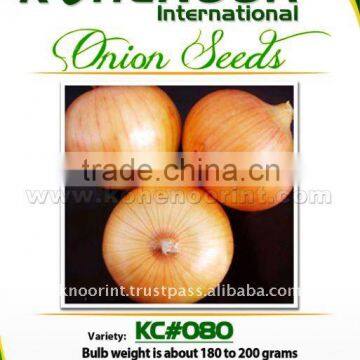 Yellow Onion Seeds | KC#080