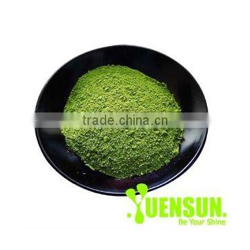 Green Tea Extract tea polyphenol 98%