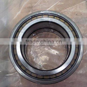 SL045048PP Double-Row Full Complement Cylindrical Roller Bearing SL045048 PP ,SL 04 5048 PPNR