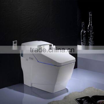 S1103 China bathroom products one piece automatic Siphonic jet toilet bidet