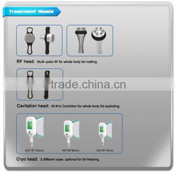 Factory Provide Hottest Criolipolisis Lipo Cryo Fat Freezing Machine Cavitation Cryolipolysis photo-3
