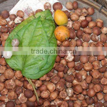 BETEL NUTS 80% GOOD CUT GOOD PRICE FOR BANGLADESH