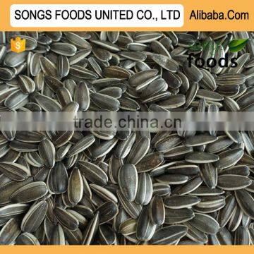 Large Size Sunflower Seeds