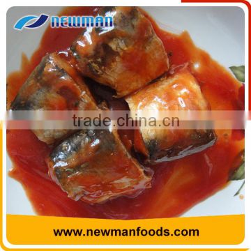 425g healthy canned mackerel in tomato sauce custom canned mackerel