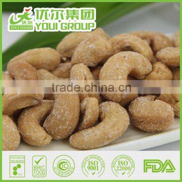 HAHAL BRC ISO Certificate Salted Roasted Cashews NON-GMO,Rich in Dietary Fibres, Good for Stomach photo-2