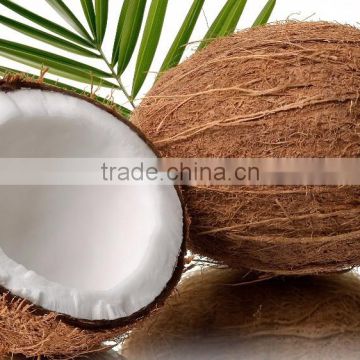 TROPICAL SEMI HUSKED COCONUT