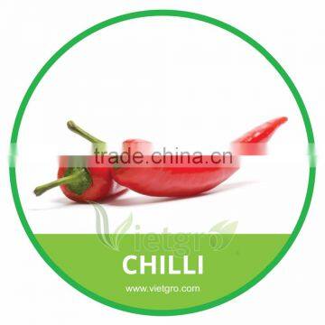 HIGH QUALITY FRESH UPWARD RED CHILLI