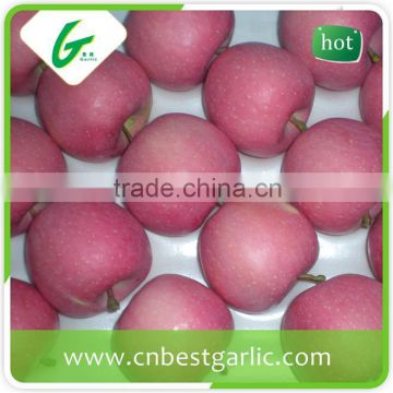 Fresh fruit red fuji apple from China