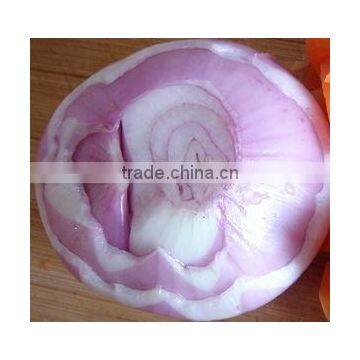2011 Best Quality New Good Red Onion