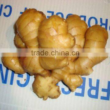 chinese ginger 100g