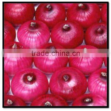 Fresh Onion Price 2012