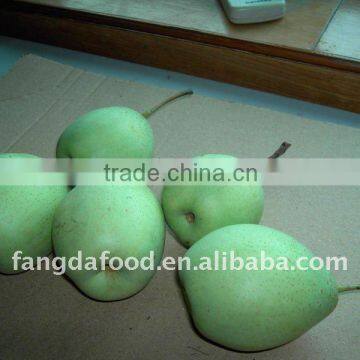 hebei green pear