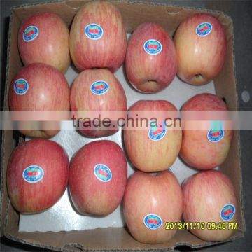 China wholesaler Fresh red fuji apple