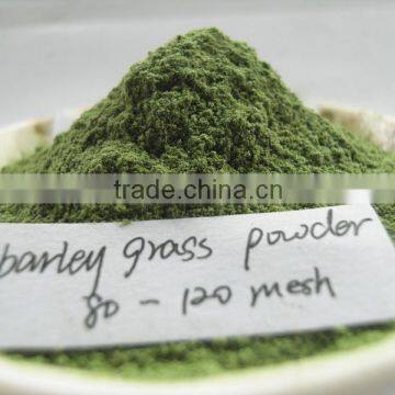 High Quality Dried Barley Grass Powder Supplier photo-4