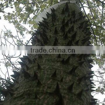 Wool Trees