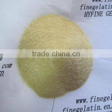 Halal Cow Skin Gelatin/hide gelatin/food gelatin powder