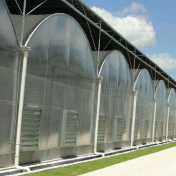 qing zhou shi zhongxing Greenhouse Engineering Co., Ltd