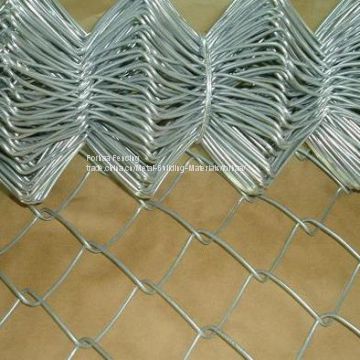 Special design chain link wire mesh fencing / pvc coated garden chain link fence