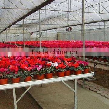 Cheap China seedbed for greenhouse