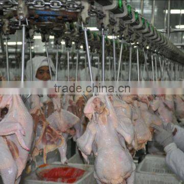 poultry processing machinery for layers
