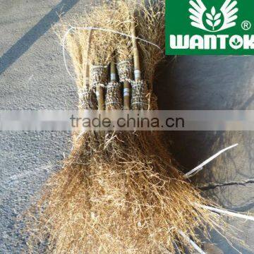 Bamboo broom