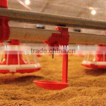 poultry automatic chicken drinking and feeding system