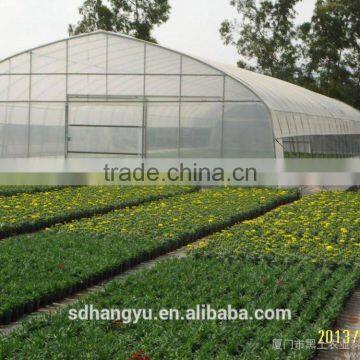 Large Size Commercial Greenhouse Hydroponics