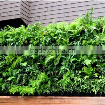 Garden Decorative Plastic Planter Pots Wall Planters SL-YT5030 photo-2