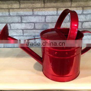 Unique Decorative Watering Can photo-3
