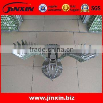 Decorative Stainless Steel Metal Crafts Flying Eagle With Bottom Round Ball photo-4