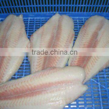 Pangasius fish/ frozen pangasius fillet/ basa fillet