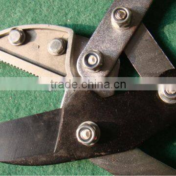 Garden Tool/pruning Shear/ Anvil Lopping Pruner photo-4