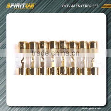 Golden Plated Fuse for Car Audio