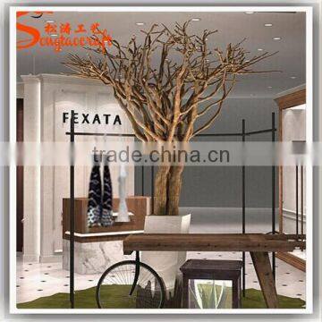Leafless Tree Branches Tree Branches Without Leaves Tree Branches for Centerpieces photo-3