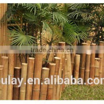 Low Bamboo Border & Edging Fence photo-4